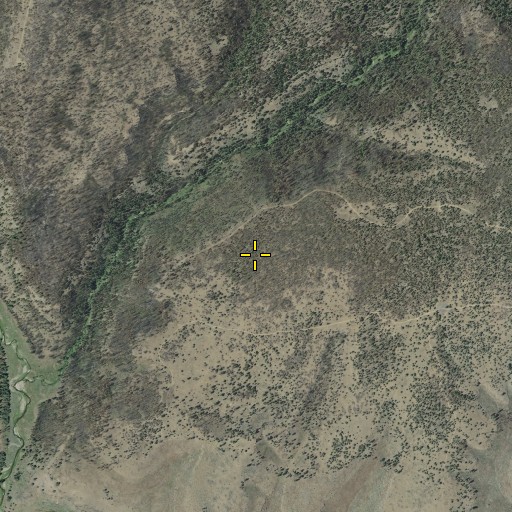 Aerial/Satellite Image of Howard Point, OR