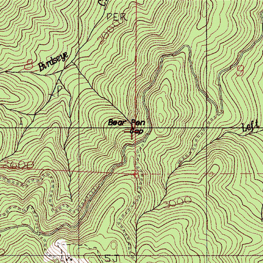 Topographic Map of Bear Pen Gap, OR