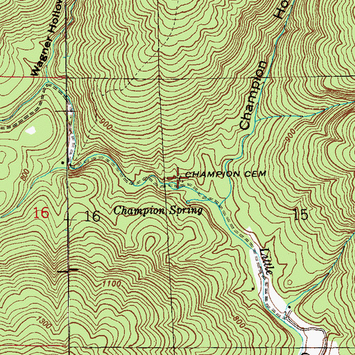 Topographic Map of Champion Cemetery, AL