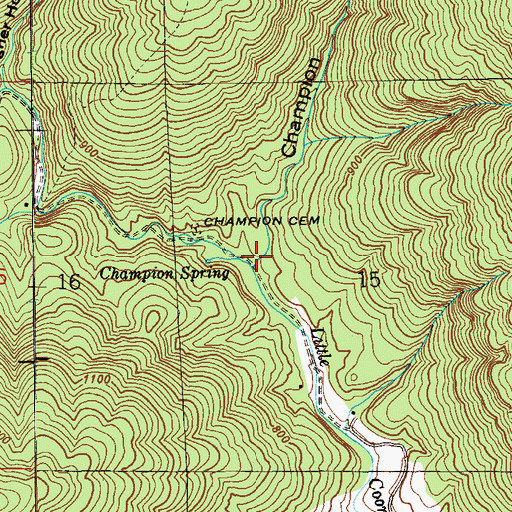 Topographic Map of Champion Hollow, AL