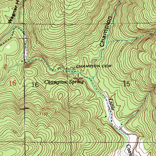 Topographic Map of Champion Spring, AL