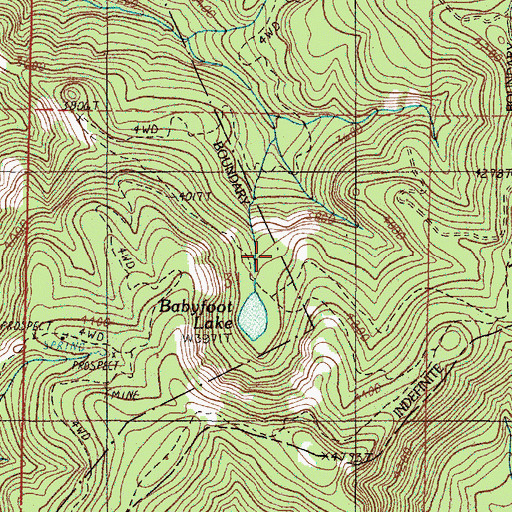Topographic Map of Babyfoot Lake Area, OR