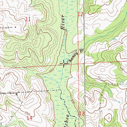 Topographic Map of Chaney Branch, AL