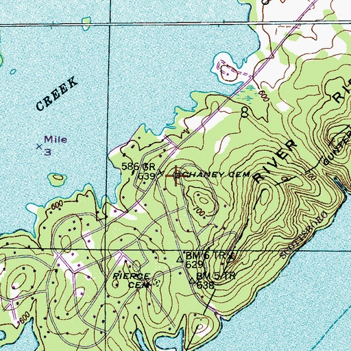 Topographic Map of Chaney Cemetery, AL