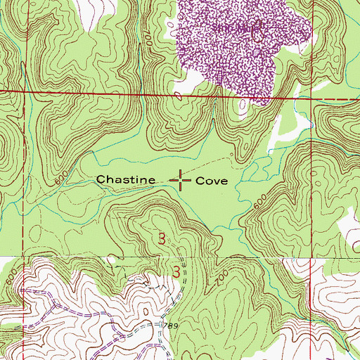 Topographic Map of Chastine Cove, AL