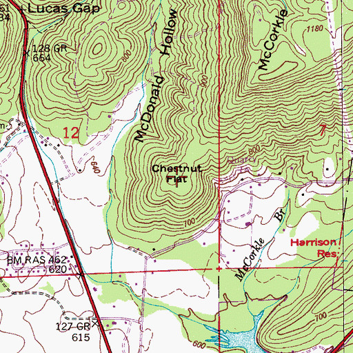 Topographic Map of Chestnut Flat, AL