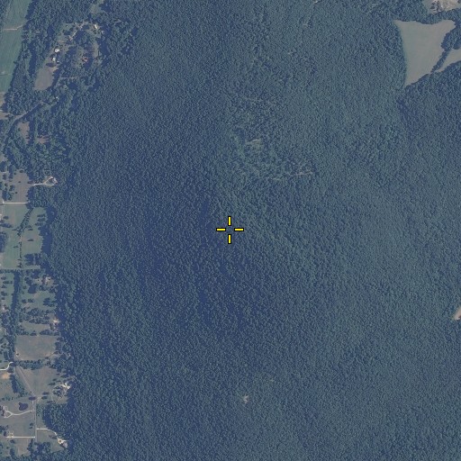 Aerial/Satellite Image of Chestnut Knob, AL