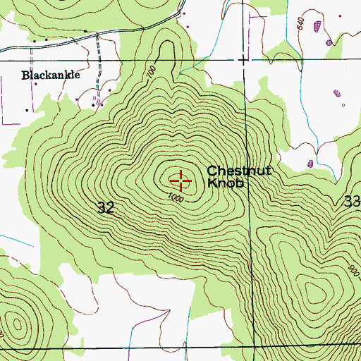 Topographic Map of Chestnut Knob, AL