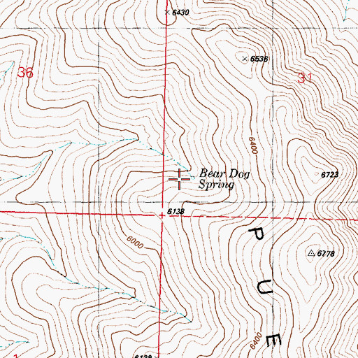 Topographic Map of Bear Dog Spring, OR