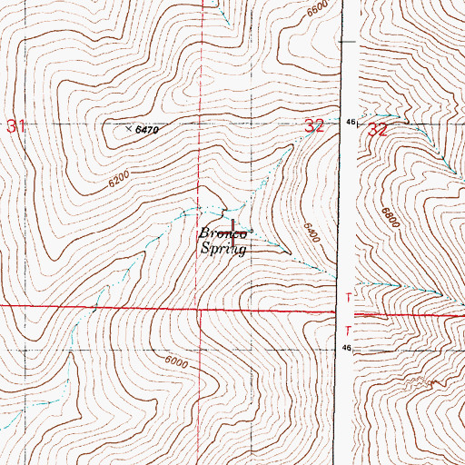 Topographic Map of Bronco Spring, OR