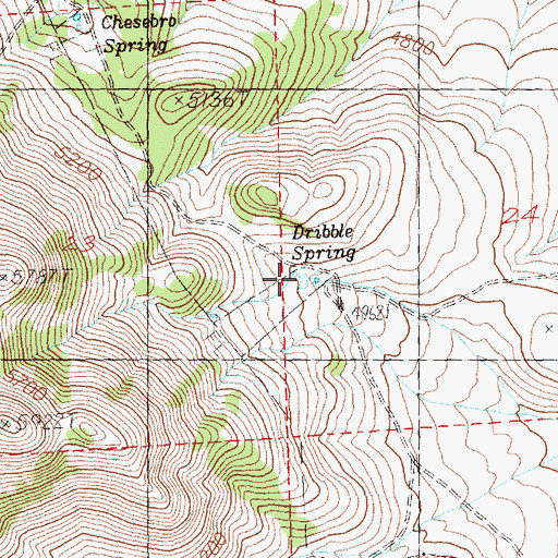 Topographic Map of Dribble Spring, OR