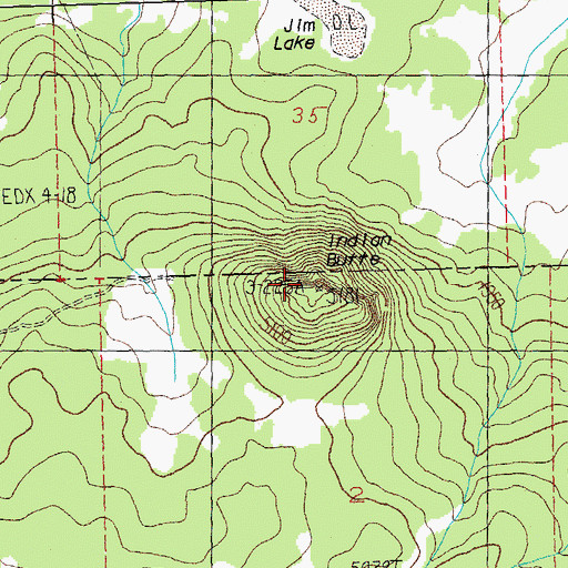 Topographic Map of Indian Butte, OR