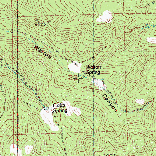 Topographic Map of Walton Spring, OR