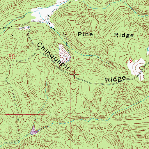 Topographic Map of Chinquapir Ridge, AL