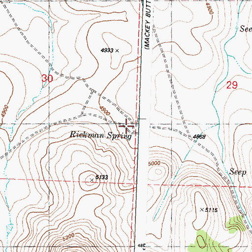 Topographic Map of Rickman Spring, OR