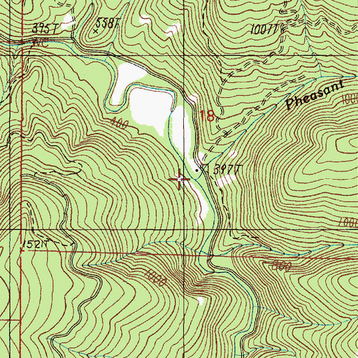 Topographic Map of Pheasant Creek, OR