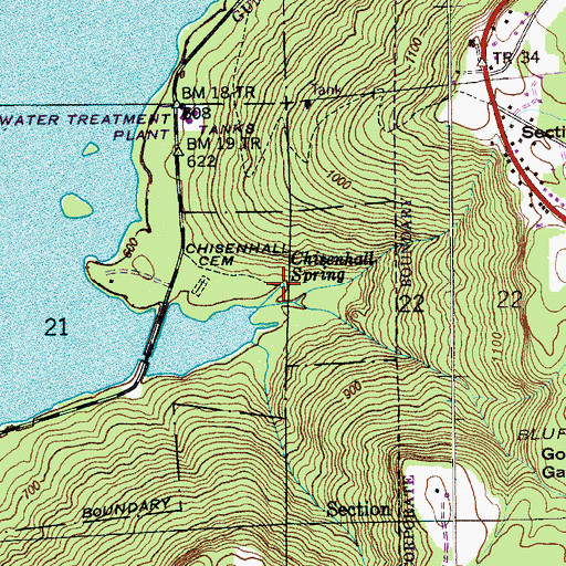 Topographic Map of Chisenhall Spring, AL