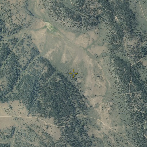 Aerial/Satellite Image of Big Basin, OR