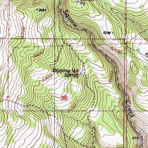 Topographic Map of Dipping Vat Spring, OR