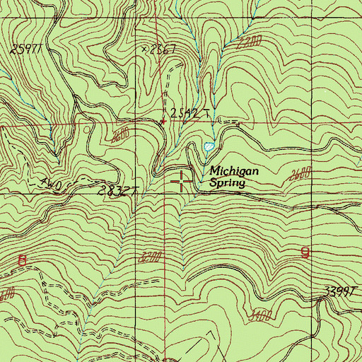 Topographic Map of Michigan Spring, OR