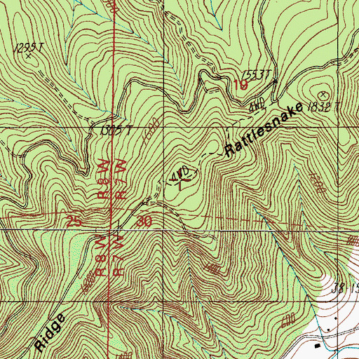 Topographic Map of Rattlesnake Ridge, OR