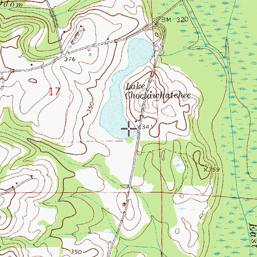 Topographic Map of Lake Choctawhatchee, AL