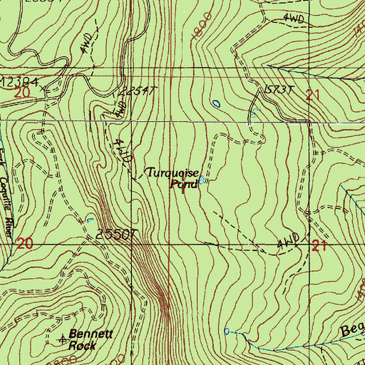 Topographic Map of Turquoise Pond, OR