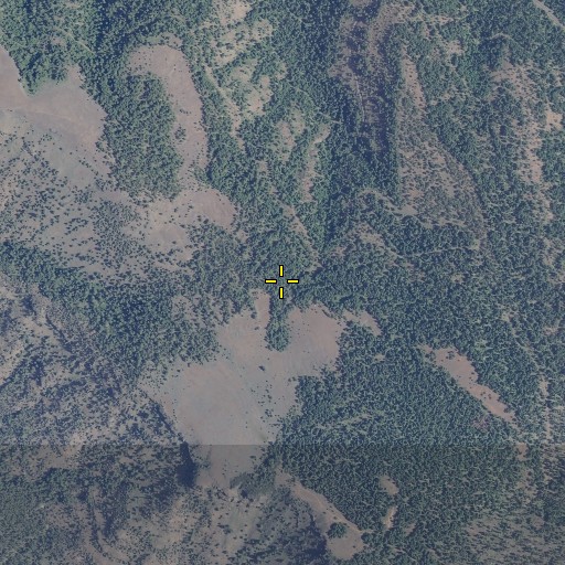 Aerial/Satellite Image of Del Spring, OR