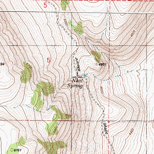 Topographic Map of Neal Spring, OR