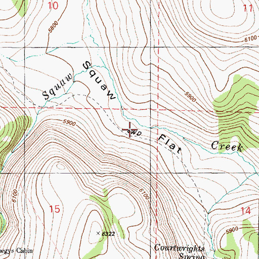 Topographic Map of Puhi-Pane Na-De Flat, OR