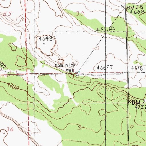 Topographic Map of Dominick Well, OR