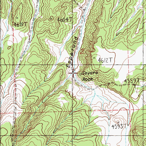 Topographic Map of Coyote Rock, OR