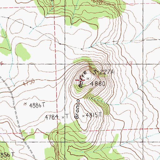 Topographic Map of Bronco Butte, OR