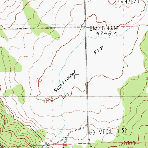 Topographic Map of Sunflower Flat, OR