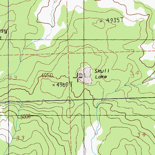 Topographic Map of Skull Lake, OR