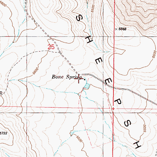 Topographic Map of Bone Spring, OR