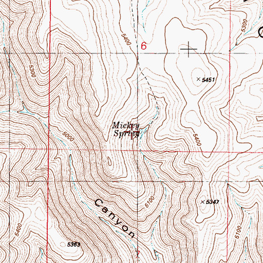 Topographic Map of Mickey Spring, OR