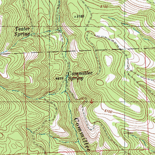 Topographic Map of Juniper Spring, OR