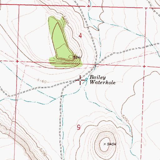 Topographic Map of Bailey Waterhole, OR
