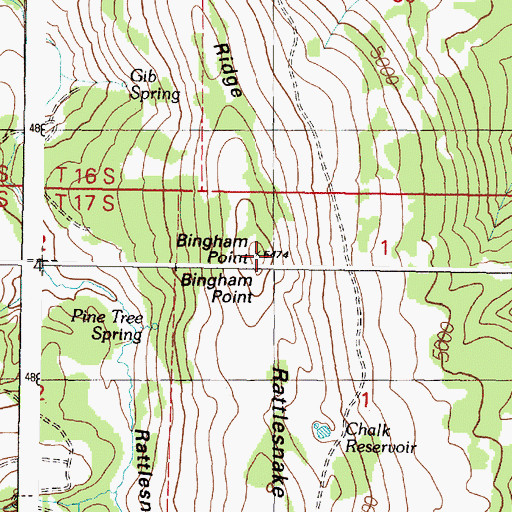 Topographic Map of Bingham Point, OR