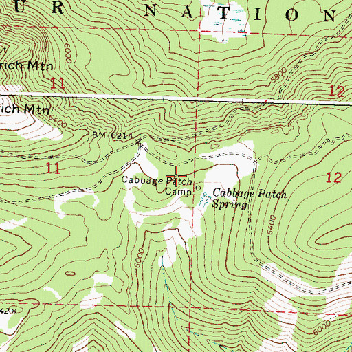 Topographic Map of Cabbage Patch Camp, OR