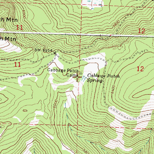 Topographic Map of Cabbage Patch Spring, OR