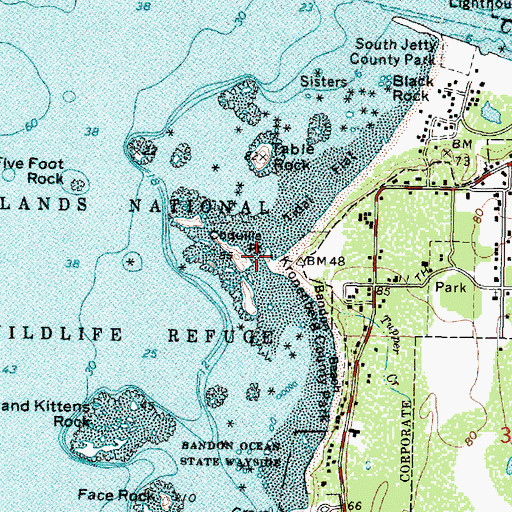 Topographic Map of Coquille Point, OR