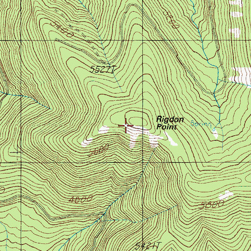 Topographic Map of Rigdon Point, OR