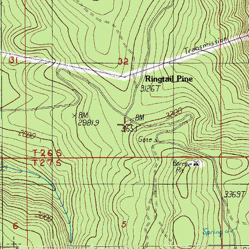 Topographic Map of Ringtail Pine, OR