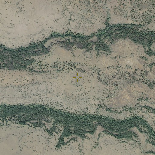 Aerial/Satellite Image of Trail Ridge, OR