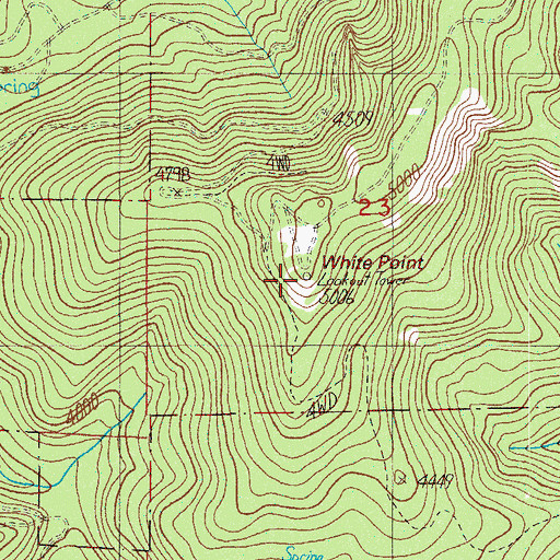 Topographic Map of White Point, OR