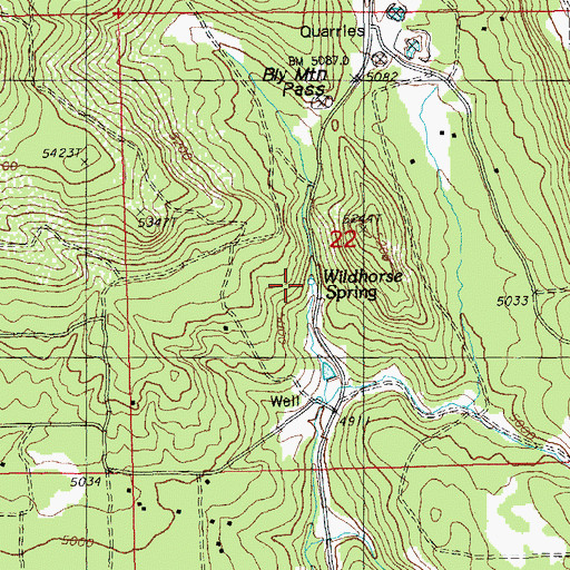Topographic Map of Wildhorse Spring, OR