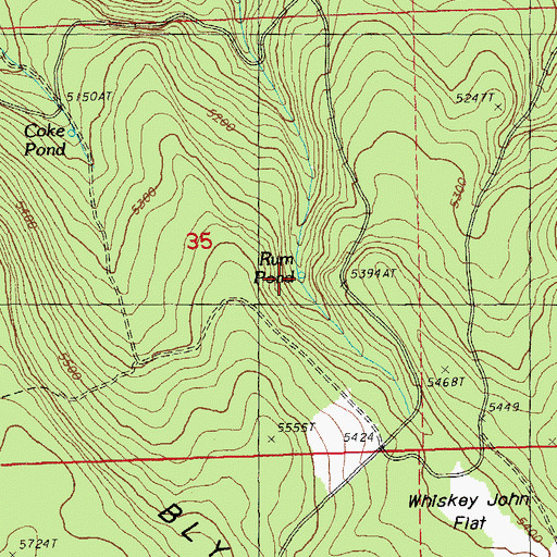 Topographic Map of Rum Pond, OR