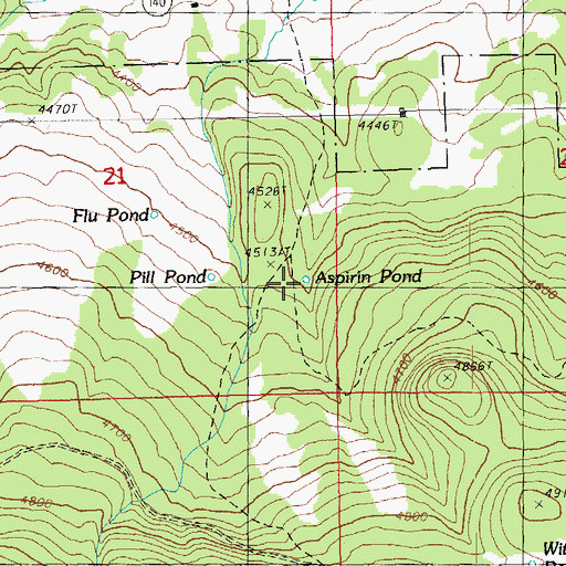 Topographic Map of Aspirin Pond, OR